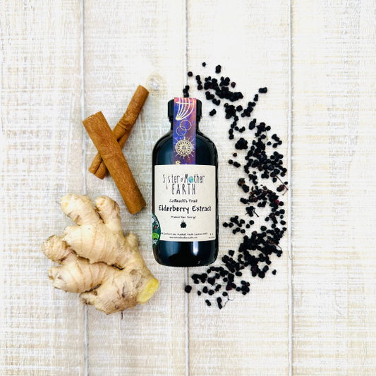 Baba Yaga's Fruit- Shelf Stable - Elderberry Extract