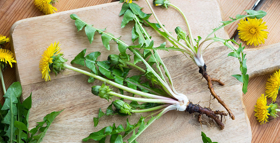 Bitters - What is the skinny on these herbs?