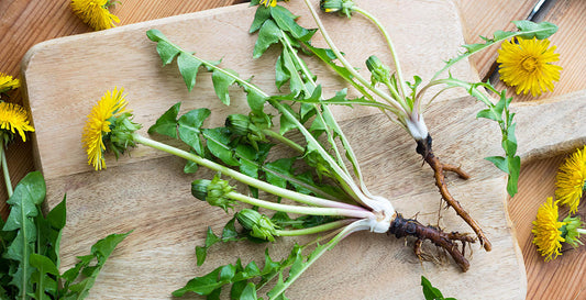 Bitters - What is the skinny on these herbs?