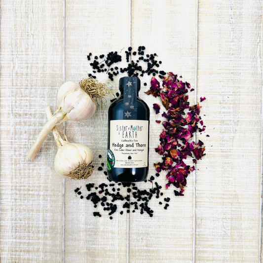 Amber glass bottle of Sister of Mother Earth Hedge and Thorn fire cider surrounded by garlic, elderberries and rose petals on a light wooden surface.