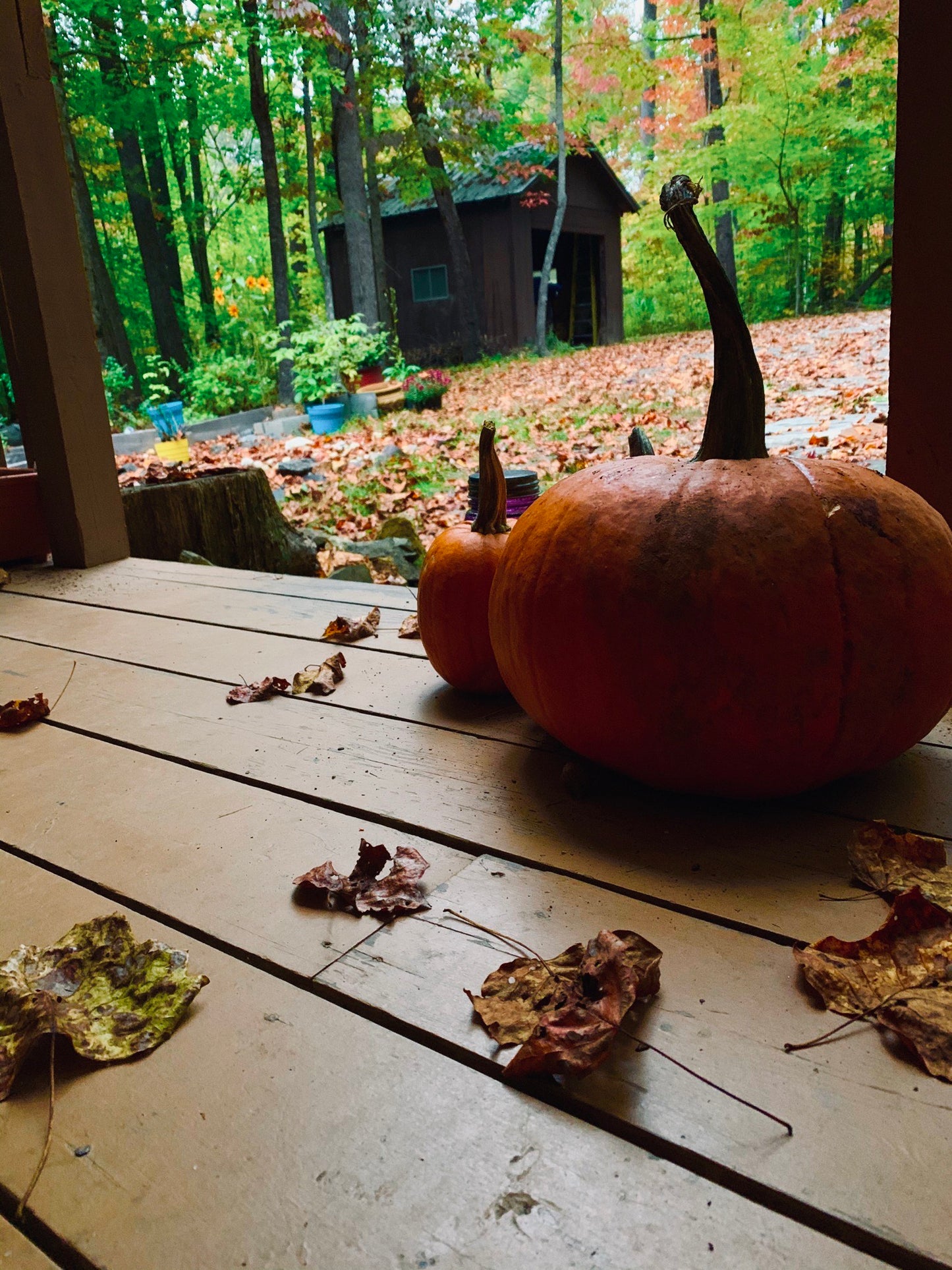 Seasonal Celebrations - Samhain @ Ginny Lou's